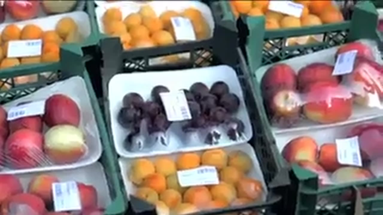 نعت عربی بهترین نعت عربی