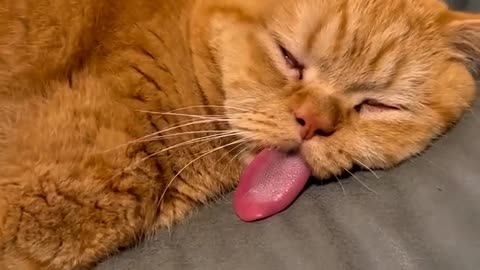don't disturb, i'm so tired