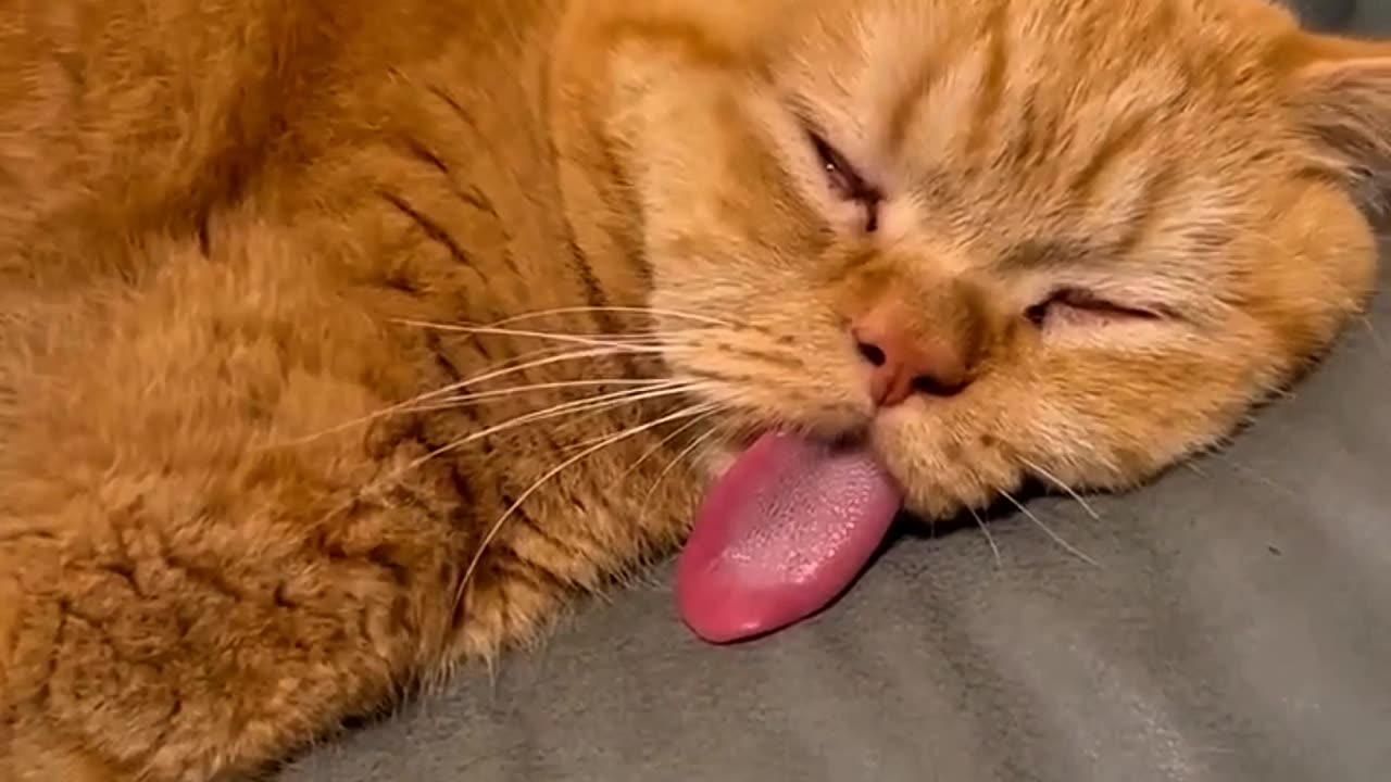 don't disturb, i'm so tired