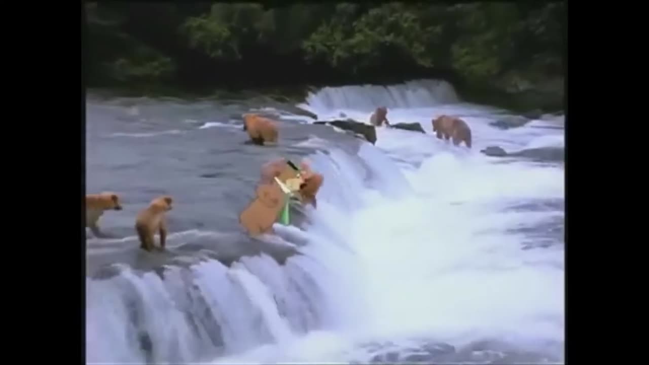 Commercial2