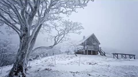 CRIAÇAO DE VIDEOS 3