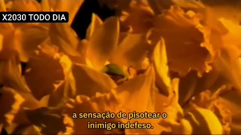 O último aviso de George Orwell:1984 pode acontecer