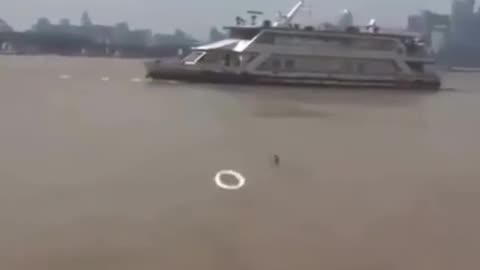 🐶😂 Good Boy Does Something Adorable | FunFM