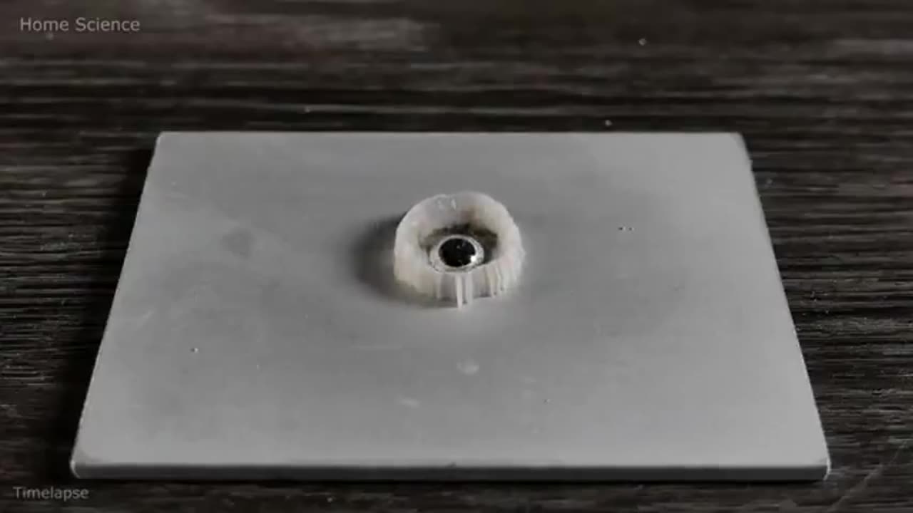 An experiment to show what happens when mercury is added to aluminum, two of the vax ingredients -Alchemy