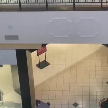 A thief jumps off 2nd floor trying to get away after robbing Apple st...