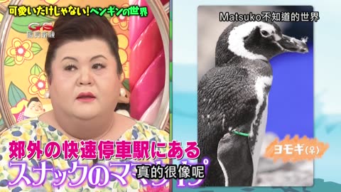 20250322_Matsuko不知道的世界-國產果醬&企鵝