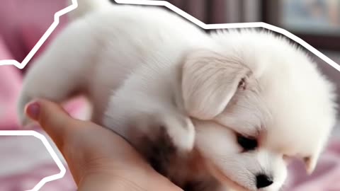 🐶 This adorable puppy will melt your heart in 14 seconds! | AI Video