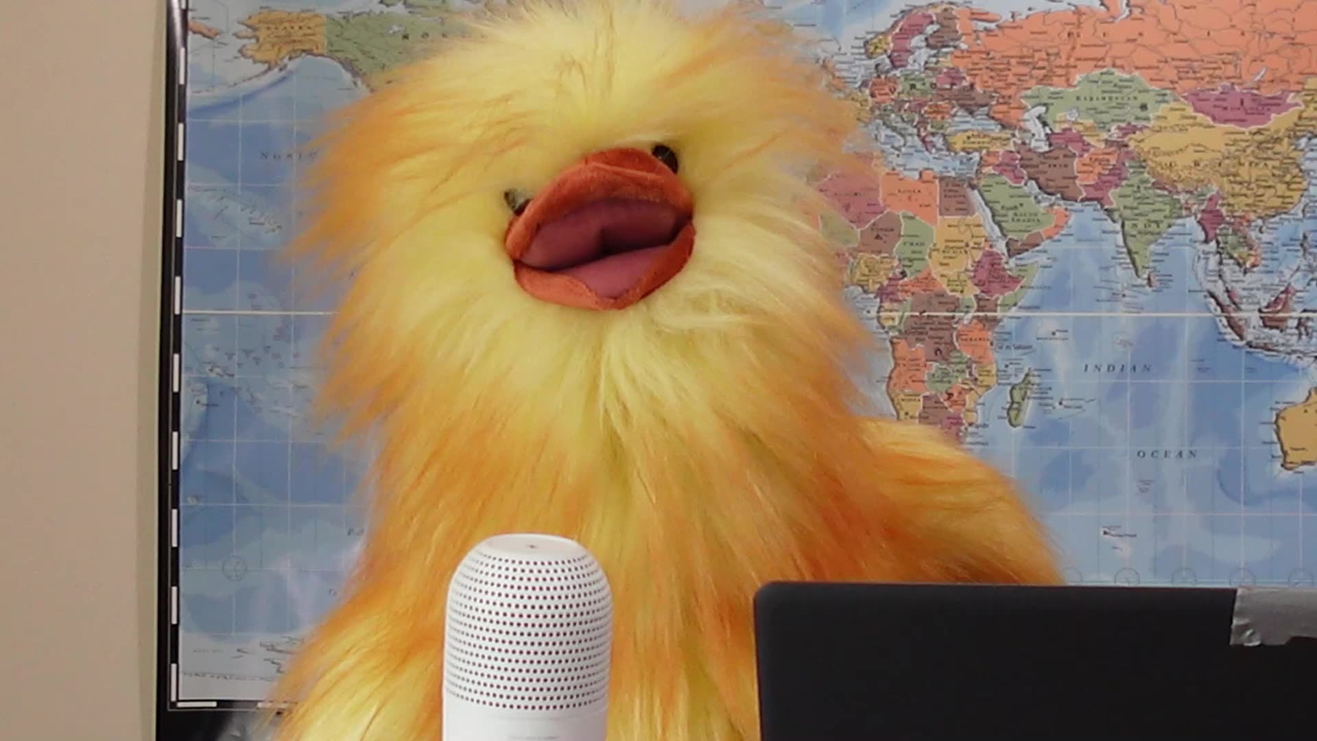 Henrietta foresees war on Canadian farmers and agriculture