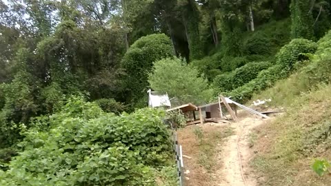 Nearly flipped the side by side, Ginseng and Bobcat hunting