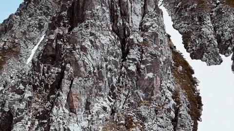 Daily Horoscope | Capricorn 🌟