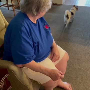 Porkchop brings the smiles to the seniors