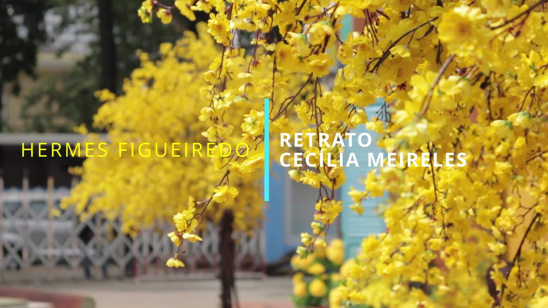 🎭 Retrato Cecília Meireles - Análise Completa do Poema + Significado [Modernismo]