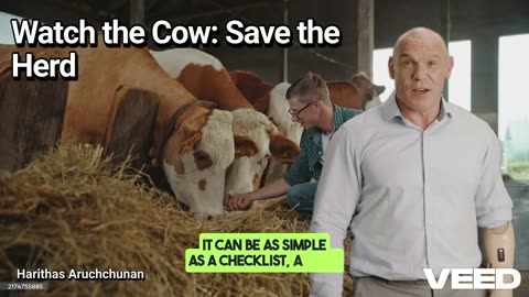 Watch the Cow:The Power of Observation