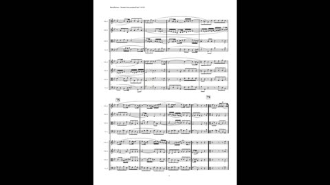 J.S. Bach – Motet: “Komm, Jesu, komm”, (Double String Orchestra)