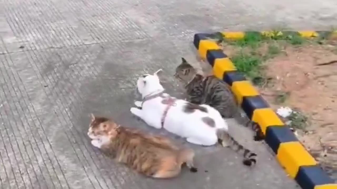 The best travel partners