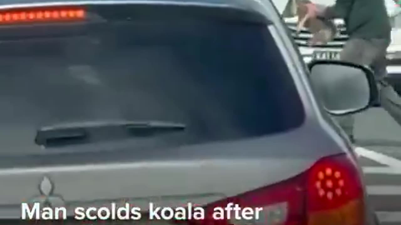 Welcome to Australia 🇦🇺