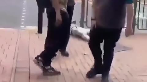 They're Happy to Help