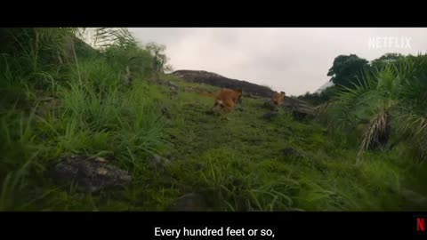 Eko (Official Trailer) Netflix India