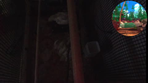 Chicken Live Stream