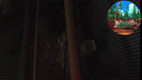 Chicken Live Stream