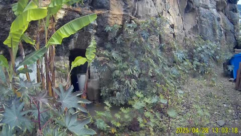250428A___Madeira_NS-404._A_bit_unusual_situation_in_cave,_water_dripping_third_day.(1080p)