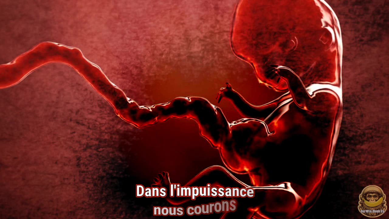 Unwanted - Indésirable 🚨⚠️🚨💥