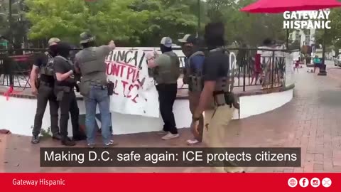 Making D.C. Safe Again: ICE Protects Citizens