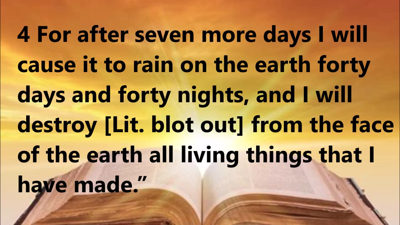 Noah gathers all the animals and his family