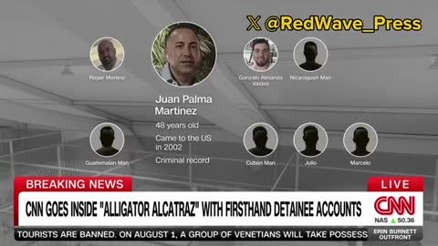 Illegal aliens are now calling and crying to CNN about Alligator Alcatraz.