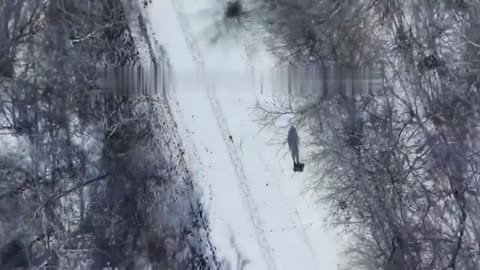 ❗️Russian Terminator.