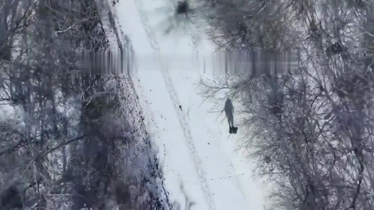 ❗️Russian Terminator.