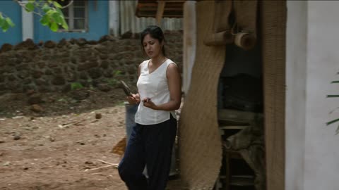 Drishyam 2 (Hindi)