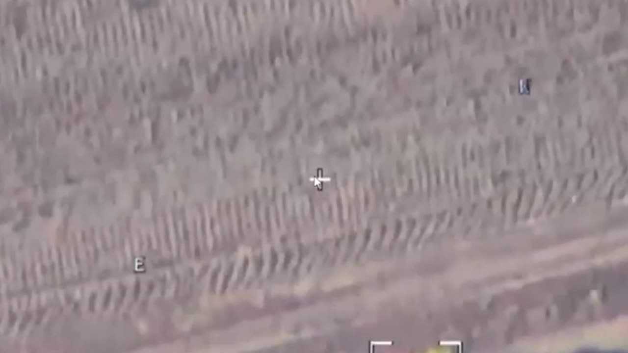 Se camufló, pero algo salió mal