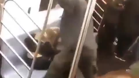 Two large Black men pummel a small white boy, then throw him off the subway/train.