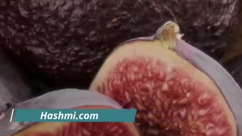 Benefits of Fig in Summer