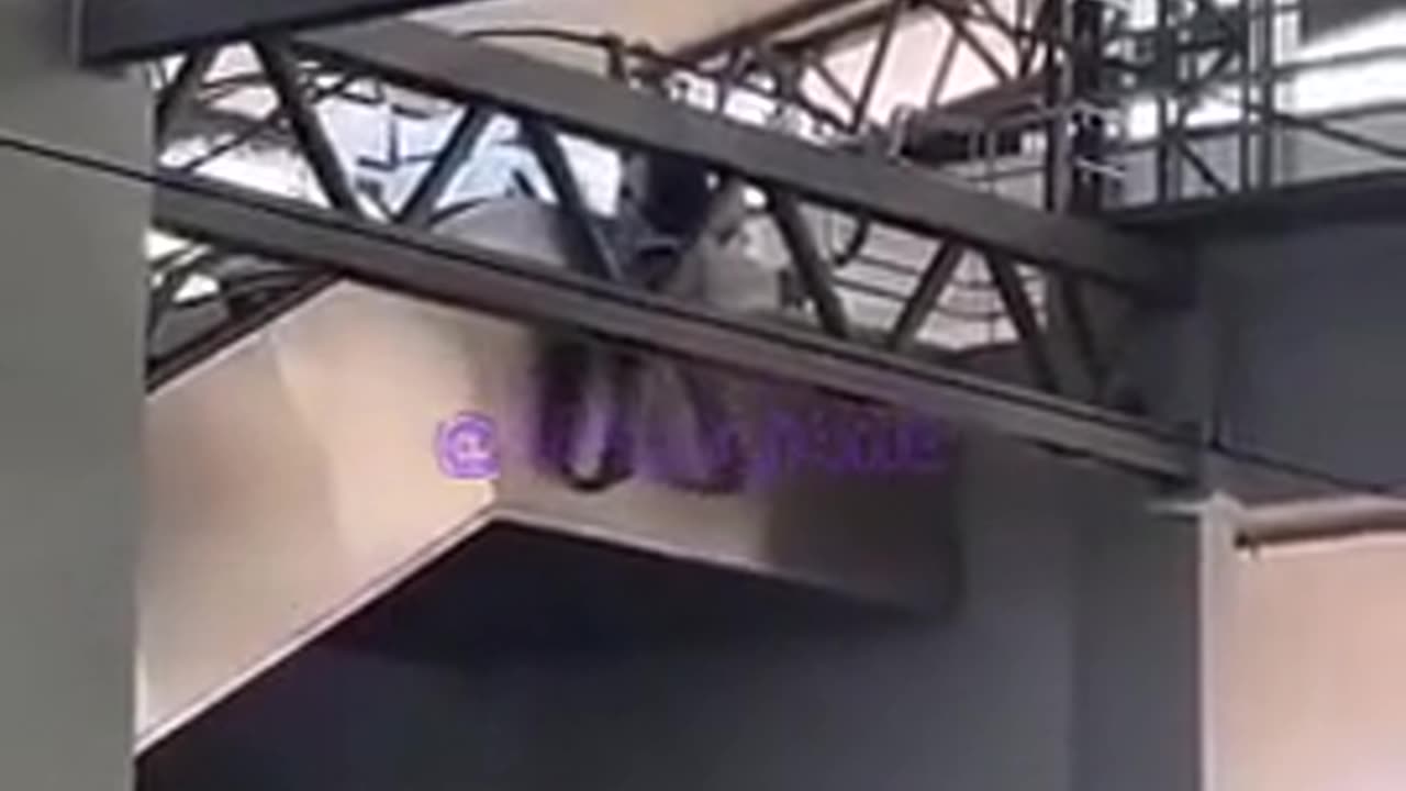 cat like reflexes