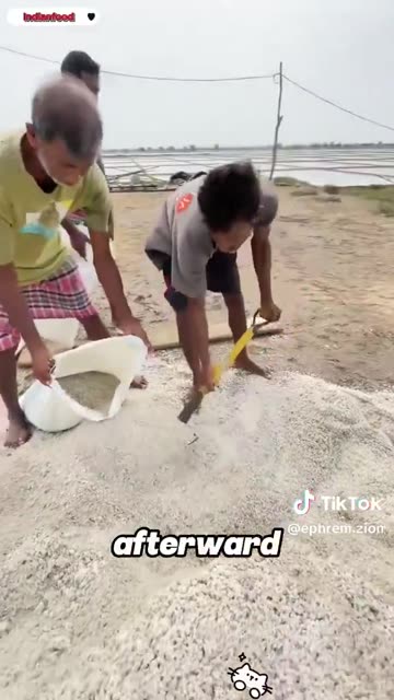 INSIDE INDIA'S SALT INDUSTRY: This is how Indians harvest salt. Never buy salt made in India!