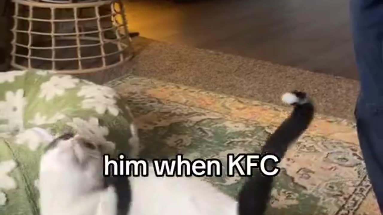 he craves the chimken