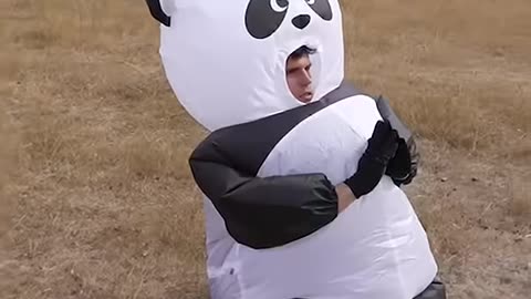 If animals go to the park