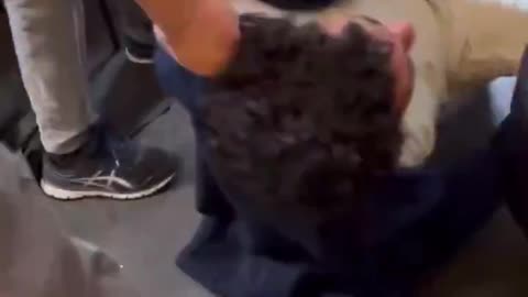 Cry out in pain as they