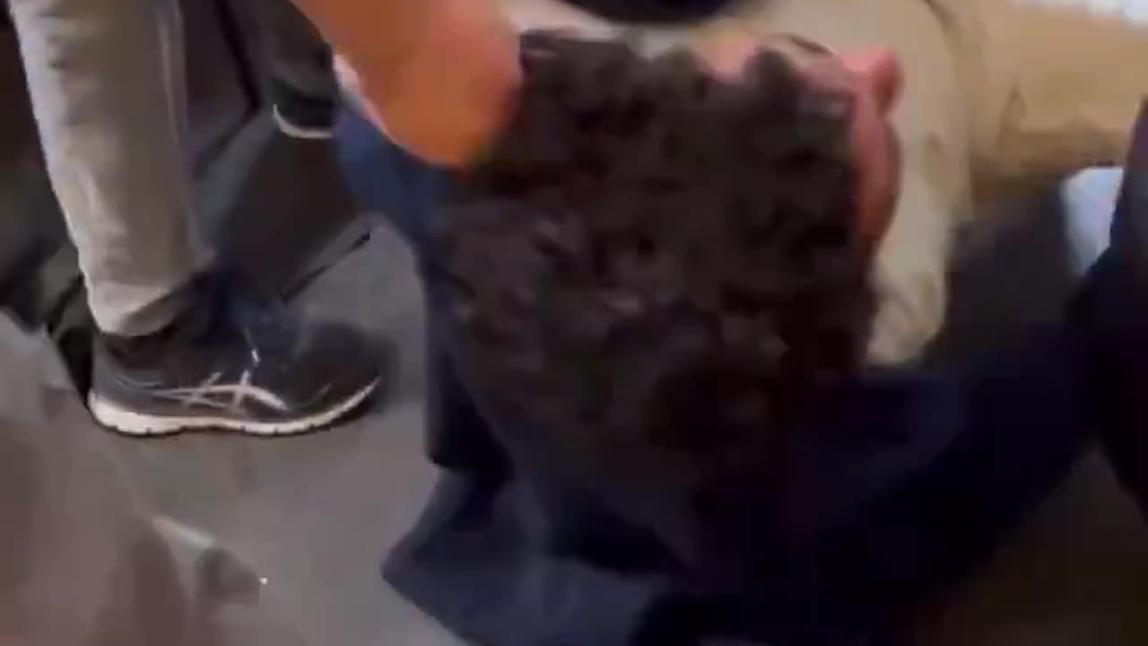 Cry out in pain as they