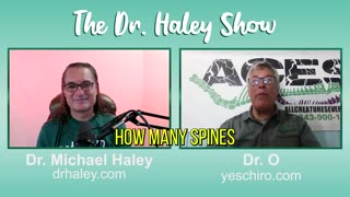 How to Become an Animal Chiropractor |Learn easily by Dr. Bill Ormston