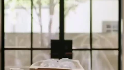 The Truth about M.A.I.D. ! Please share, share and share