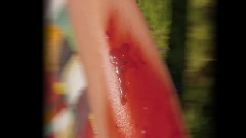 How_Much_Blood_Can_Ticks_Hold__🤯