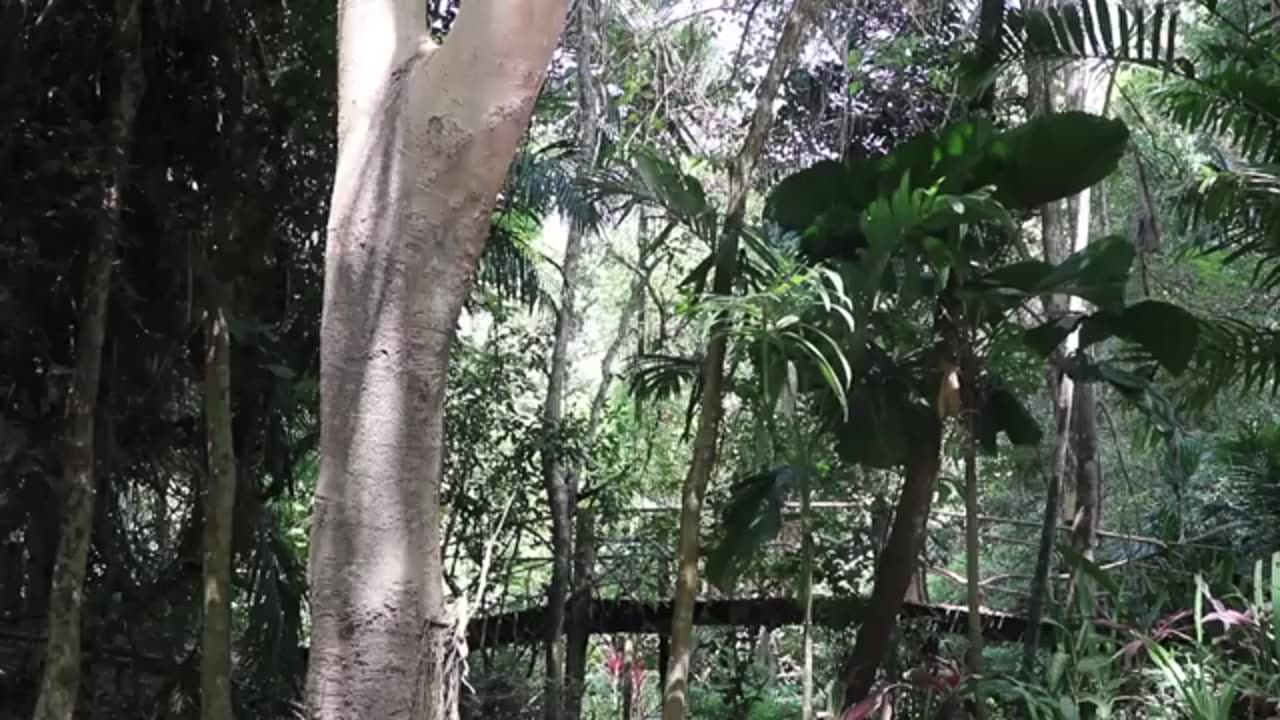 KRABI, THAILAND | 10 BEST Things To Do In Krabi (Ao Nang & Around)