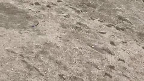 Maverick’s Fishing Lessons