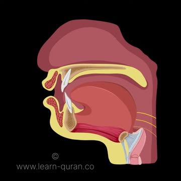 Shorts-20250711-Cara Mengucapkan Mad Fathah