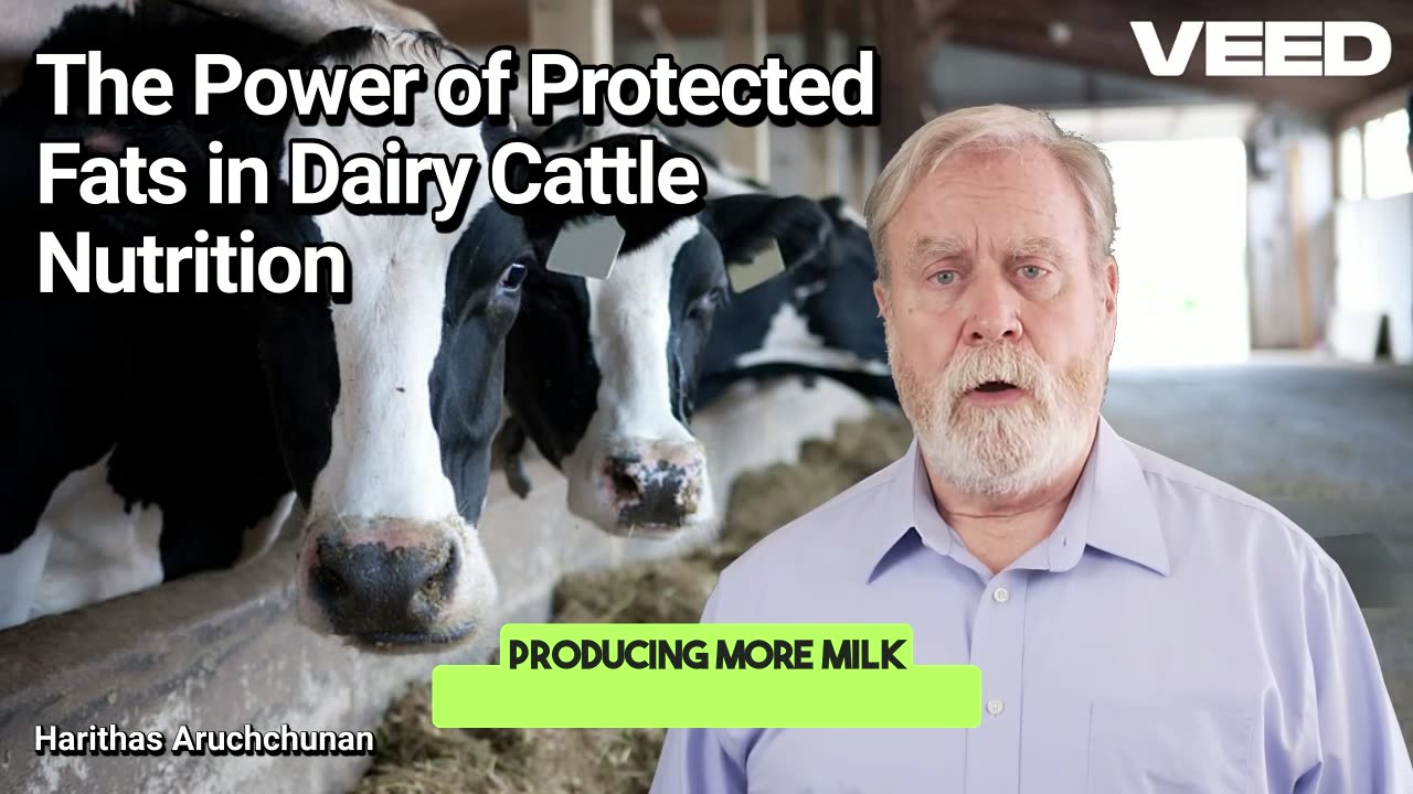 Revolutionize Dairy:Unlock Protected Fats
