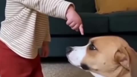 Baby’s Cutest Playtime with Cat 🐱👶 | Adorable Moments"