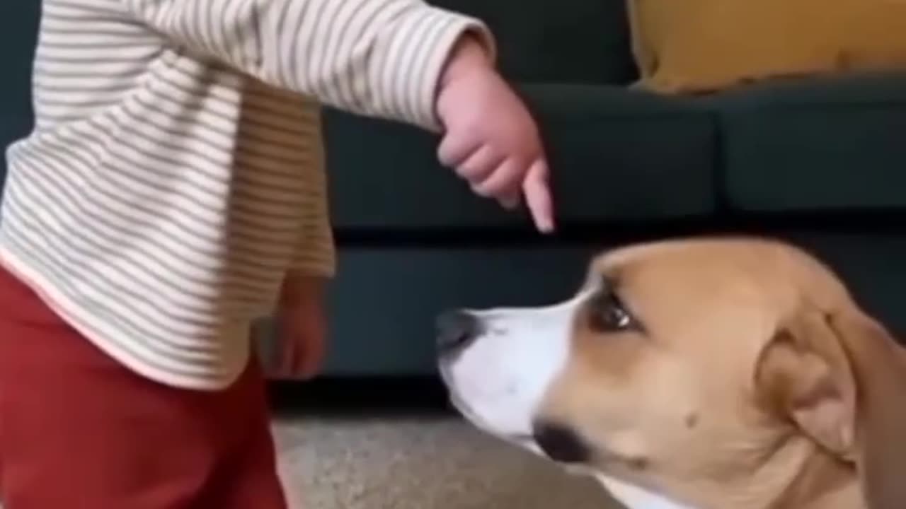 Baby’s Cutest Playtime with Cat 🐱👶 | Adorable Moments"